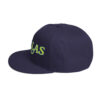 Dallas Embroidered Snapback Hat