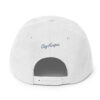 Dallas Embroidered Snapback Hat
