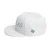 Dallas Embroidered Snapback Hat